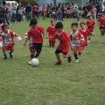 descarga (3)
