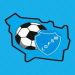 LDFSM – Liga San Martín